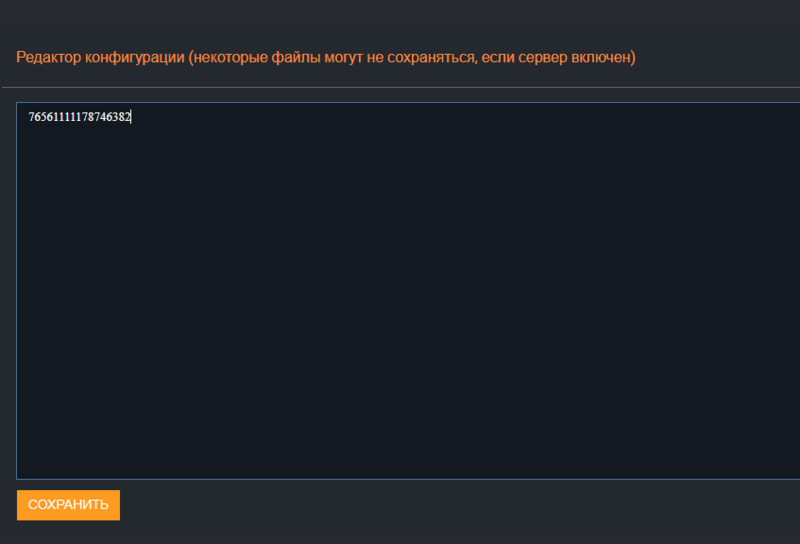 Файл:Scum-developer-ini-single.png