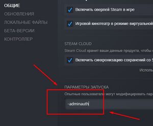 Vrising-kak-stat-adminom5.jpg