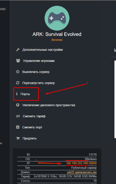 Файл:ARK SE how to find IP and open ports tab.png