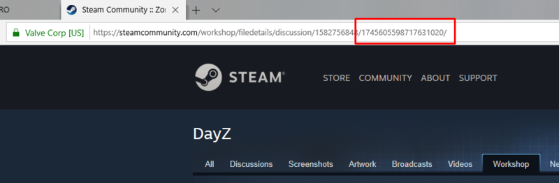 Файл:Dayz2.png